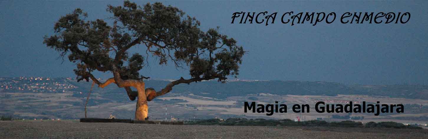 Magia en Guadalajara Magia en Guadalajara